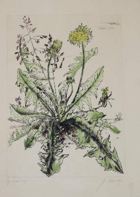 Bild Nr.4: 143-1645 Egk,W.: (Kokoschka)