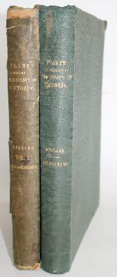 Bild Nr.3: 143-1780 Mueller,F.v.: (Botanik, Australien)