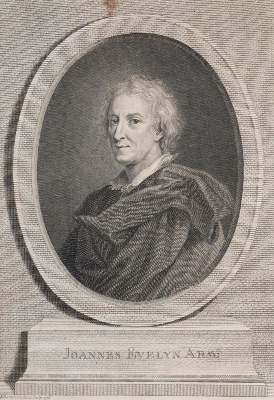 Bild Nr.1: 143-1785 Evelyn,J.: (Botanik)