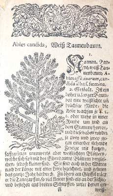 Bild Nr.1: 143-1791 Müller,S.: (Botanik, Kräuterbücher)