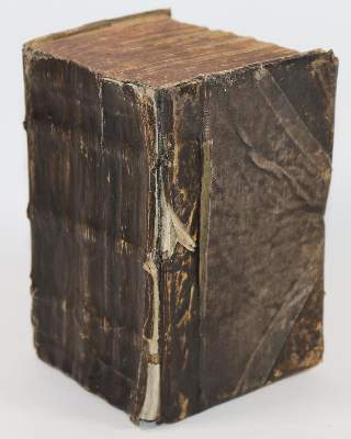 Bild Nr.4: 143-1791 Müller,S.: (Botanik, Kräuterbücher)