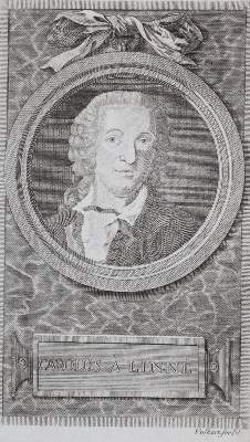 Bild Nr.2: 143-1797 Linné,C.v.: (Botanik)
