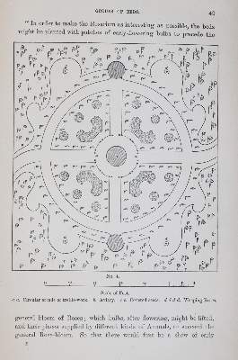 Bild Nr.3: 143-1809 Paul,W.: (Botanik, Rosen)