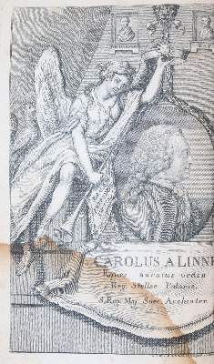 Bild Nr.4: 143-1818 (Zorn,J.).: (Botanik)
