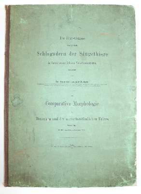 Bild Nr.6: 143-1826 Barkow,H.C.L.: (Medizin)