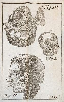 Bild Nr.3: 143-1843 Krüger,J.G.: (Medizin)