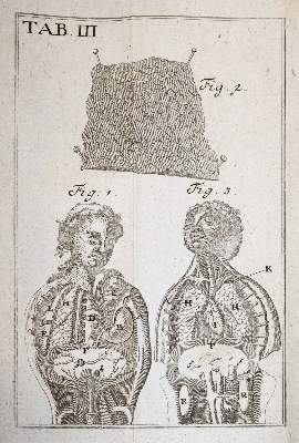 Bild Nr.4: 143-1843 Krüger,J.G.: (Medizin)