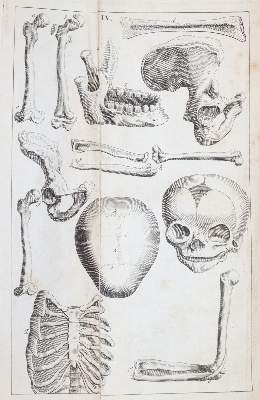Bild Nr.4: 143-1844 Kulmus,J.A.: (Medizin)