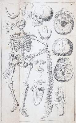 Bild Nr.5: 143-1844 Kulmus,J.A.: (Medizin)