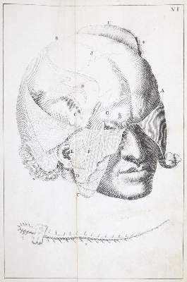 Bild Nr.6: 143-1844 Kulmus,J.A.: (Medizin)