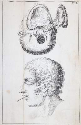 Bild Nr.7: 143-1844 Kulmus,J.A.: (Medizin)