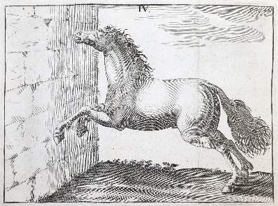 Bild Nr.2: 143-1855 Winter,G.S.: (Medizin, Veterinärmedizin)