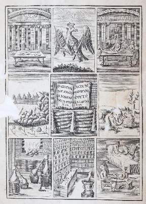 Bild Nr.1: 143-1858 Woyt,J.J.: (Medizin)