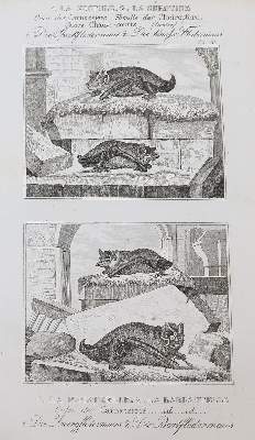 Bild Nr.12: 143-1868 Buffon,(G.L.L.de).: (Zoologie)