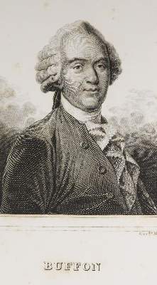 Bild Nr.2: 143-1869 Buffon,(G.L.L.)de; F.Cuvier u. B.G.E.Lacepede de la Ville.: (Zoologie)