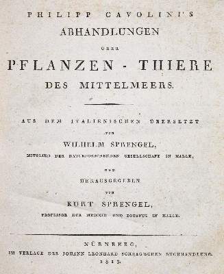 Bild Nr.1: 143-1870 Cavolini,F.: (Zoologie)