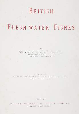 Bild Nr.4: 143-1874 Houghton,W.: (Zoologie, Fische)