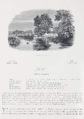 Bild Nr.5: 143-1874 Houghton,W.: (Zoologie, Fische)