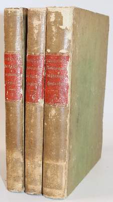 Bild Nr.2: 143-1876 Bechstein,J.M. u. G.L.Scharfenberg.: (Zoologie, Insekten)