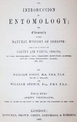 Bild Nr.1: 143-1878 Kirby,W. u. W.Spence.: (Zoologie, Insekten)