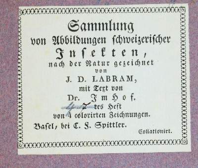 Bild Nr.1: 143-1880 Labram,J.D.: (Zoologie, Insekten)