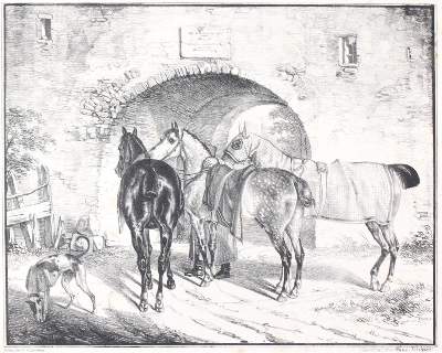 Bild Nr.1: 143-1888 Krüger, Franz: (Zoologie, Pferde)