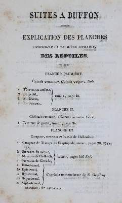 Bild Nr.4: 143-1893 Dumeril,A.M.C. u. G.Bibron.: (Zoologie, Reptilien)
