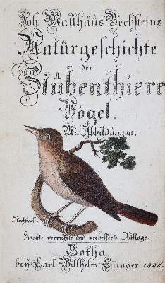 Bild Nr.2: 143-1898 Bechstein,J.M.: (Zoologie, Vögel)