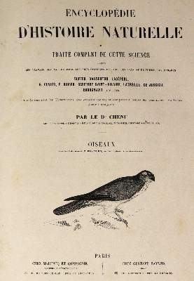 Bild Nr.1: 143-1903 Chenu,J.C.: (Zoologie, Vögel)