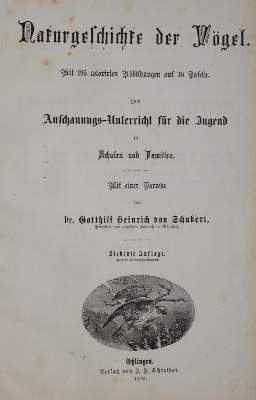 Bild Nr.1: 143-1907 Meerwarth,H. u. K.Soffel.: (Zoologie, Vögel)