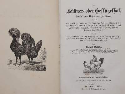 Bild Nr.4: 143-1907 Meerwarth,H. u. K.Soffel.: (Zoologie, Vögel)