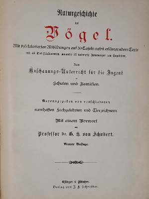 Bild Nr.6: 143-1907 Meerwarth,H. u. K.Soffel.: (Zoologie, Vögel)