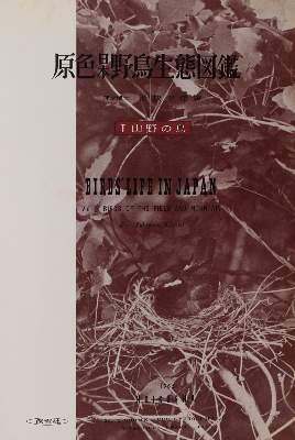 Bild Nr.1: 143-1910 Sammlung: (Zoologie, Vögel)