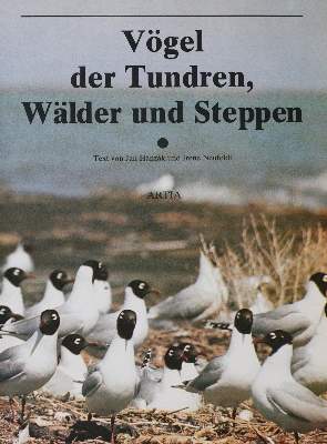 Bild Nr.1: 143-1911 Sammlung: (Zoologie, Vögel)