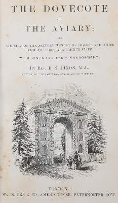Bild Nr.1: 143-1915 Dixon,E.S.: (Zoologie, Vögel, Tauben)