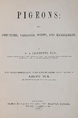 Bild Nr.2: 143-1918 Fulton,R.: (Zoologie, Vögel, Tauben)