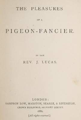 Bild Nr.2: 143-1919 Lucas,J.: (Zoologie, Vögel, Tauben)