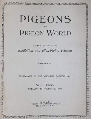 Bild Nr.1: 143-1921 Pigeons and pigeon world.: (Zoologie, Vögel, Tauben)