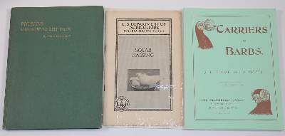 Bild Nr.1: 143-1924 Sammlung: (Zoologie, Vögel, Tauben)