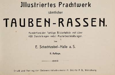 Bild Nr.1: 143-1925 Schachtzabel,E.: (Zoologie, Vögel, Tauben)