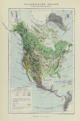 Bild Nr.6: 143-1931 Wallace,A.R.: (Zoologie)