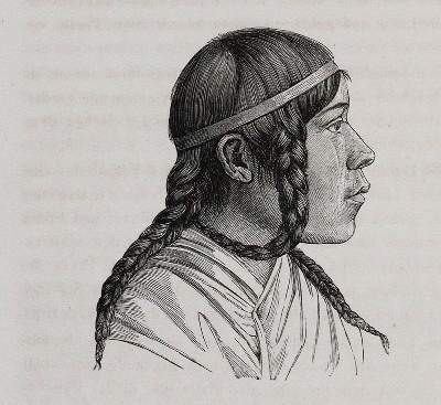 Bild Nr.2: 143-1938 Retzius,A.: (Verschiedene Gebiete - Varia, Anthropologie)
