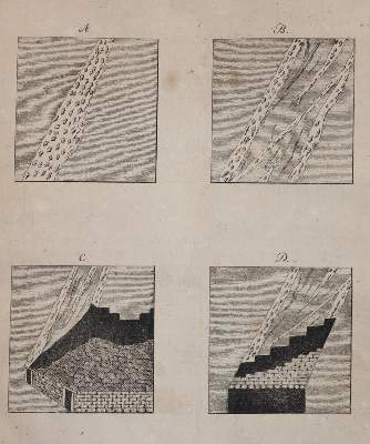 Bild Nr.2: 143-1989 Koch,C.Z.: (Verschiedene Gebiete - Varia, Geologie - Mineralogie u. Paläontologie)