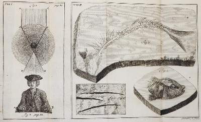 Bild Nr.2: 143-1990 Krüger,J.G.: (Verschiedene Gebiete - Varia, Geologie - Mineralogie u. Paläontologie)