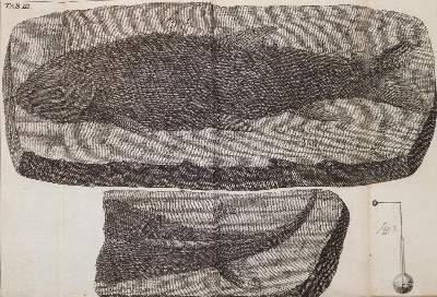 Bild Nr.3: 143-1990 Krüger,J.G.: (Verschiedene Gebiete - Varia, Geologie - Mineralogie u. Paläontologie)