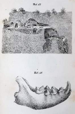 Bild Nr.4: 143-1993 Mantell,G.: (Verschiedene Gebiete - Varia, Geologie - Mineralogie u. Paläontologie)