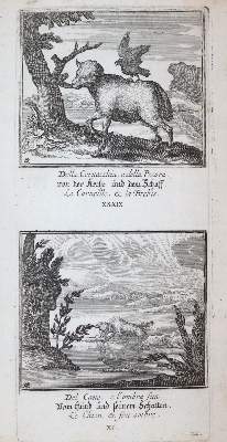 Bild Nr.6: 143-2 Aesop.: (Alte Drucke, Handschriften und Theologie)