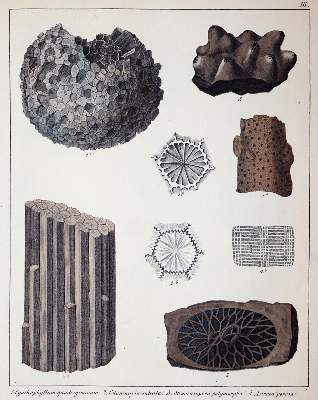Bild Nr.2: 143-2002 Schmidt,F.A.: (Verschiedene Gebiete - Varia, Geologie - Mineralogie u. Paläontologie)