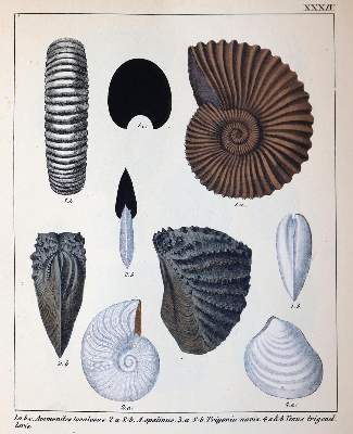 Bild Nr.4: 143-2002 Schmidt,F.A.: (Verschiedene Gebiete - Varia, Geologie - Mineralogie u. Paläontologie)