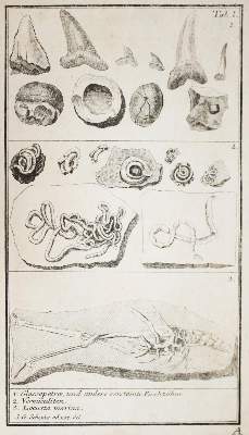 Bild Nr.3: 143-2005 Walch,J.E.I.: (Verschiedene Gebiete - Varia, Geologie - Mineralogie u. Paläontologie)